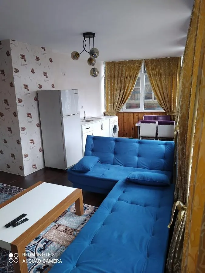 Apartment Ueskuedar Carsi